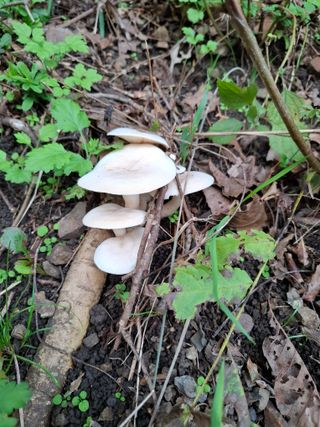 박정미님의 자유주제 · 자유게시판 작성글 사진