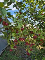 팜모닝 자유주제·자유게시판 게시글 이미지