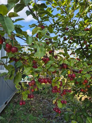 이정민님의 자유주제 · 자유게시판 작성글 사진