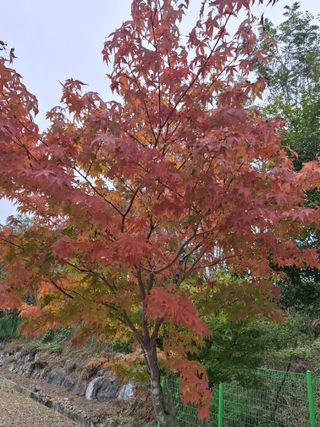 MSG0074님의 자유주제 · 자유게시판 작성글 사진