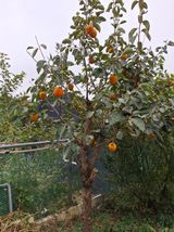 팜모닝 자유주제·자유게시판 게시글 이미지