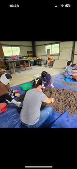 팜모닝 자유주제·자유게시판 게시글 이미지