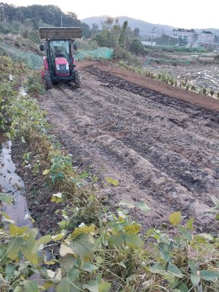 정금천님의 자유주제 · 자유게시판 작성글 사진