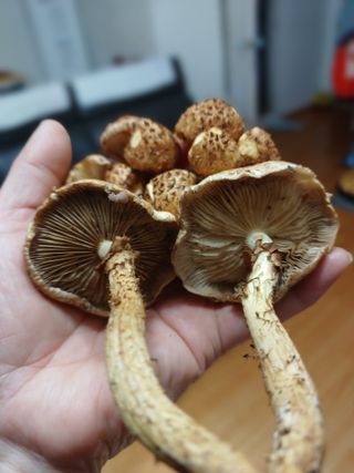 박해복님의 자유주제 · 자유게시판 작성글 사진