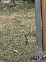 팜모닝 자유주제·사진전 게시글 이미지