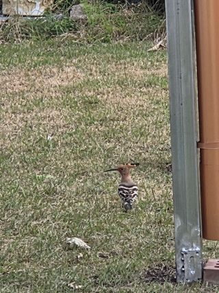 최동수님의 자유주제 · 사진전 작성글 사진