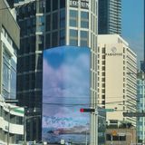 팜모닝 자유주제·자유게시판 게시글 이미지