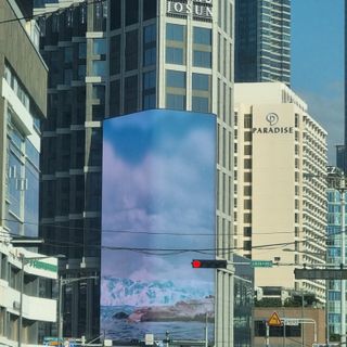 믿고사는농원-송미경님의 자유주제 · 자유게시판 작성글 사진