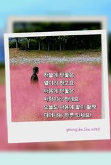 팜모닝 자유주제·자유게시판 게시글 이미지