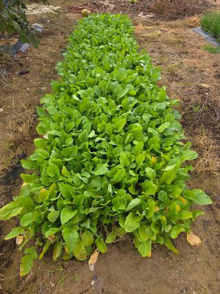 최병동님의 자유주제 · 자유게시판 작성글 사진