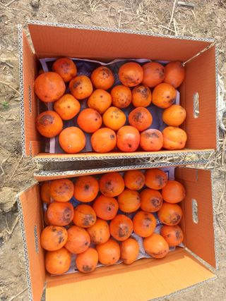 이정민님의 자유주제 · 자유게시판 작성글 사진