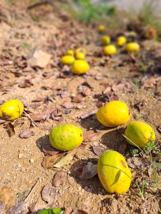 MSG0074님의 자유주제 · 자유게시판 작성글 사진