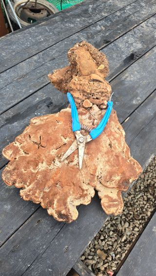 허 동길(길이농장)님의 자유주제 · 자유게시판 작성글 사진