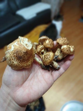 박해복님의 자유주제 · 자유게시판 작성글 사진