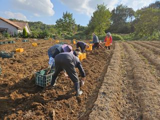 김황기님의 자유주제 · 자유게시판 작성글 사진