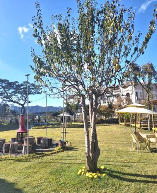 MSG0074님의 자유주제 · 자유게시판 작성글 사진