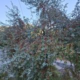 팜모닝 자유주제·자유게시판 게시글 이미지