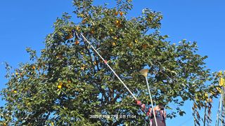 황규복(달구지)님의 자유주제 · 자유게시판 작성글 사진