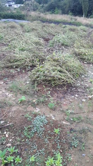 하루의행복님의 자유주제 · 자유게시판 작성글 사진