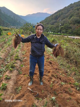 매기소골농장님의 자유주제 · 자유게시판 작성글 사진