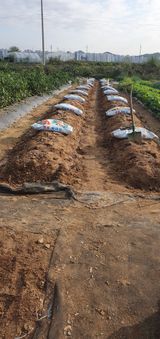 팜모닝 자유주제·자유게시판 게시글 이미지