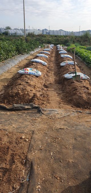 김익중님의 자유주제 · 자유게시판 작성글 사진