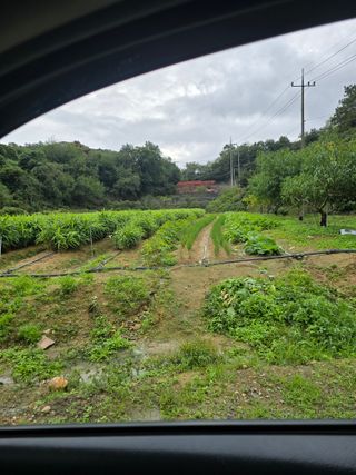 강성만님의 작성글 사진