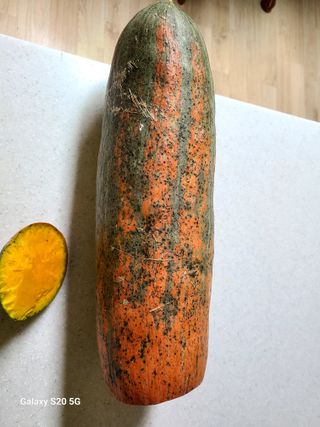 남봉희님의 자유주제 · 자유게시판 작성글 사진