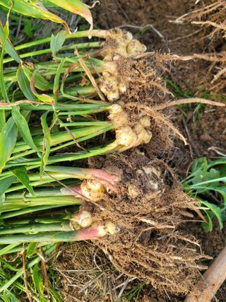 박치문님의 자유주제 · 자유게시판 작성글 사진