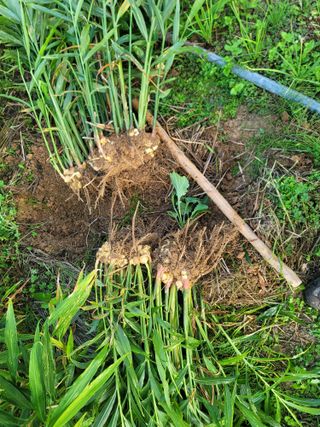 박치문님의 자유주제 · 자유게시판 작성글 사진