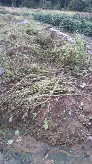 하루의행복님의 자유주제 · 자유게시판 작성글 사진