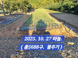 박성민님의 자유주제 · 자유게시판 작성글 사진