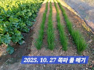 박성민님의 자유주제 · 자유게시판 작성글 사진