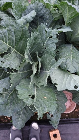 최병서님의 자유주제 · 자유게시판 작성글 사진