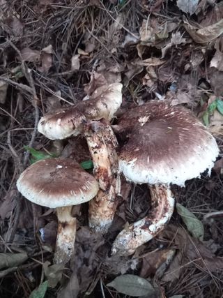 연향님의 자유주제 · 자유게시판 작성글 사진