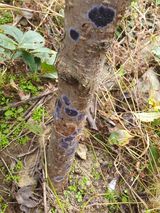 팜모닝 자유주제·자유게시판 게시글 이미지