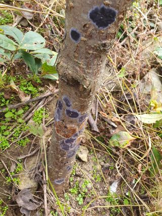 차 도영님의 자유주제 · 자유게시판 작성글 사진