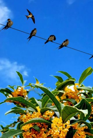 안길원님의 자유주제 · 자유게시판 작성글 사진