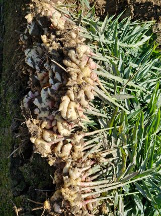 !정의규님의 자유주제 · 자유게시판 작성글 사진