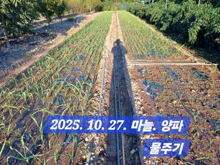 박성민님의 자유주제 · 자유게시판 작성글 사진