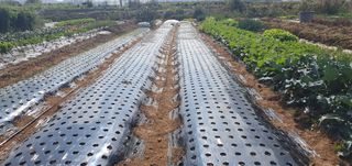 김익중님의 자유주제 · 자유게시판 작성글 사진