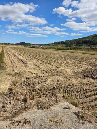 김영진(전남영광)님의 자유주제 · 자유게시판 작성글 사진