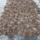 팜모닝 자유주제·자유게시판 게시글 이미지