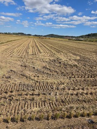 김영진(전남영광)님의 자유주제 · 자유게시판 작성글 사진
