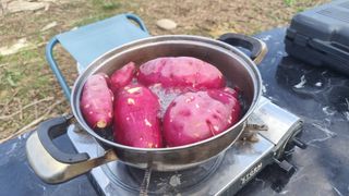 윤충기님의 자유주제 · 자유게시판 작성글 사진