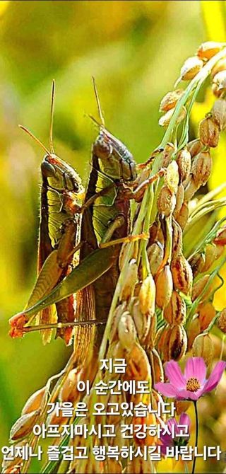 안길원님의 자유주제 · 자유게시판 작성글 사진