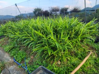 박치문님의 자유주제 · 자유게시판 작성글 사진