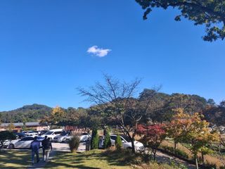 MSG0074님의 자유주제 · 자유게시판 작성글 사진