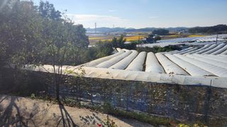 강재구님의 자유주제 · 자유게시판 작성글 사진