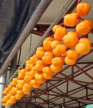 MSG0074님의 자유주제 · 자유게시판 작성글 사진